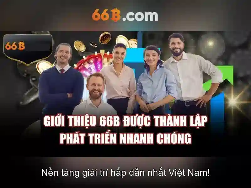 66B là gì?