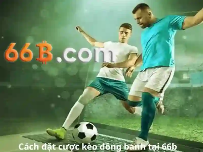 Kiến trúc và tham số