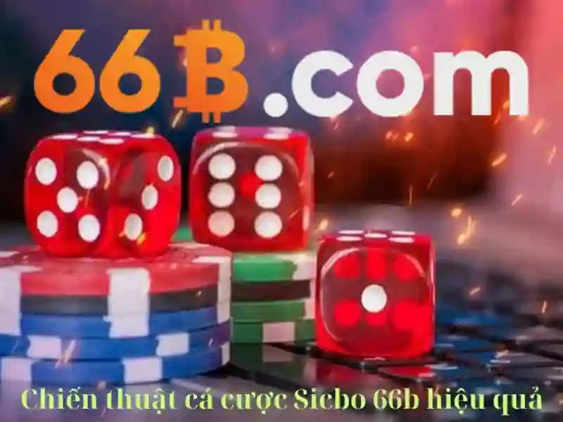 66b: khái niệm, ứng dụng và tương lai