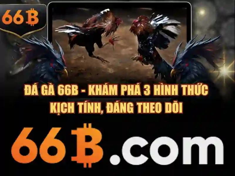 66b đăng nhập – chủ đề tổng quan và giá trị cốt lõi