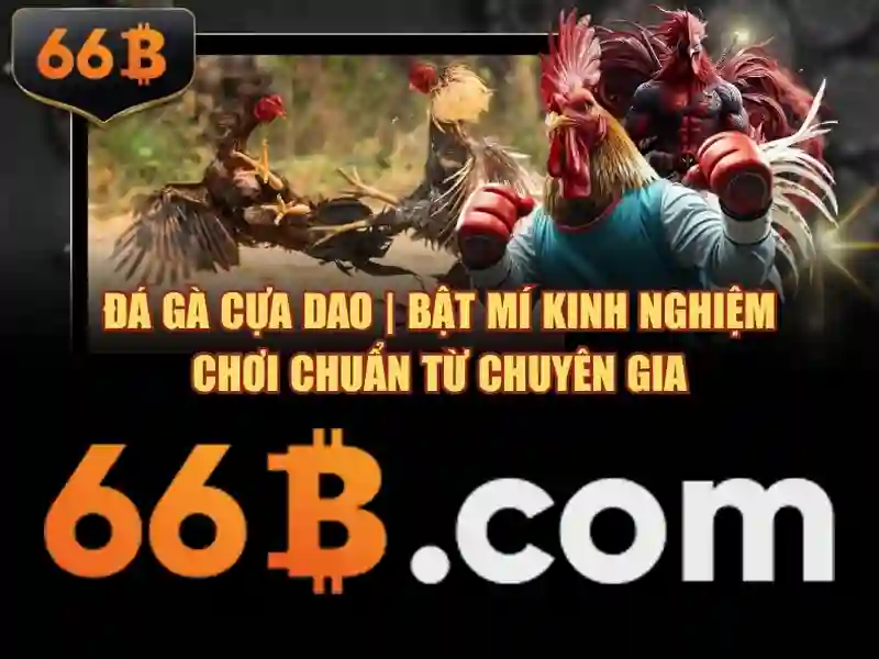 Ứng dụng và tác động trong doanh nghiệp