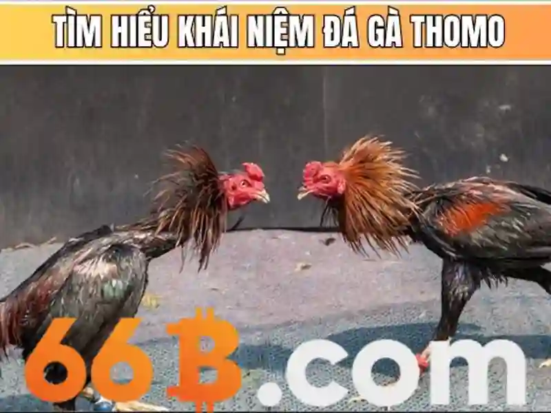 đổi mật khẩu 66b – chủ đề tổng quan và giá trị cốt lõi