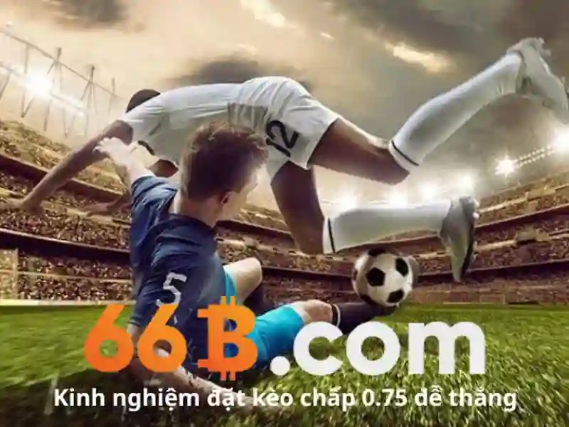 66B là gì và tại sao được chú ý