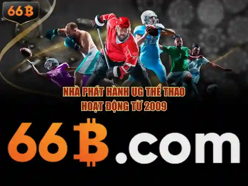 Khái niệm cơ bản về 66B