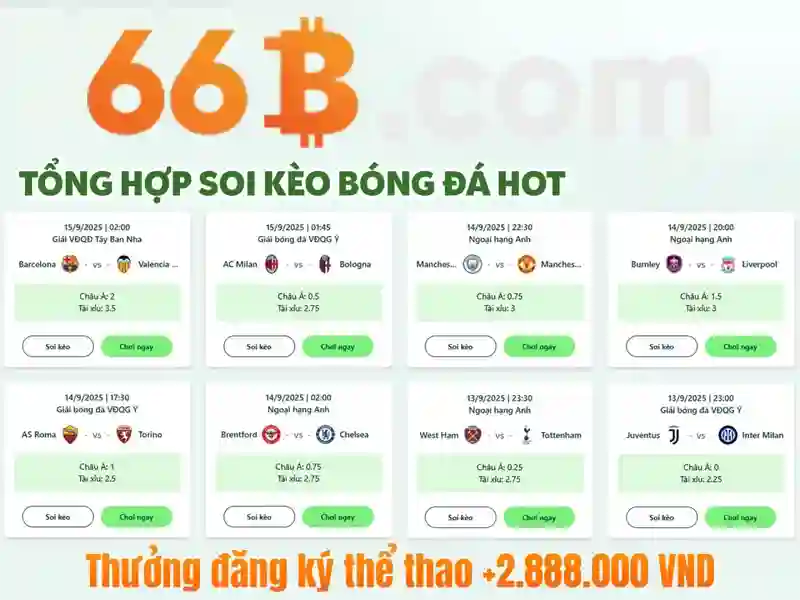 Kiến trúc căn bản của 66B
