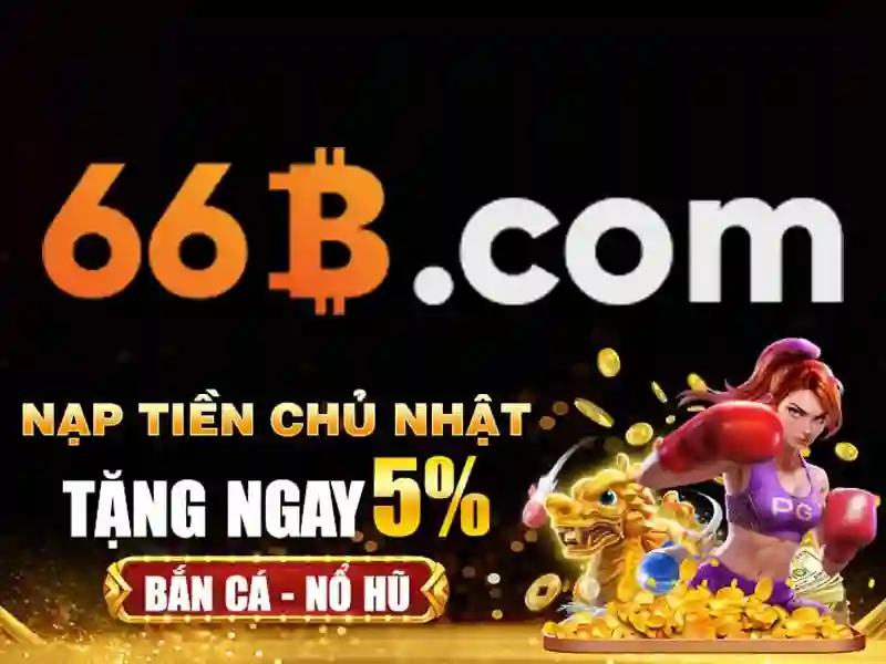 Tong quan ve dieu khoan su dung tai nha cai 66b