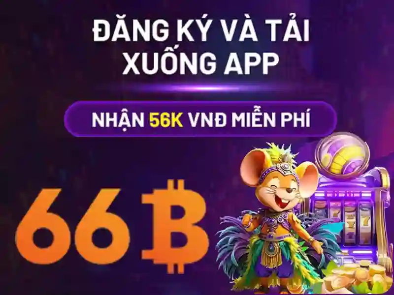 Giới thiệu về 66B