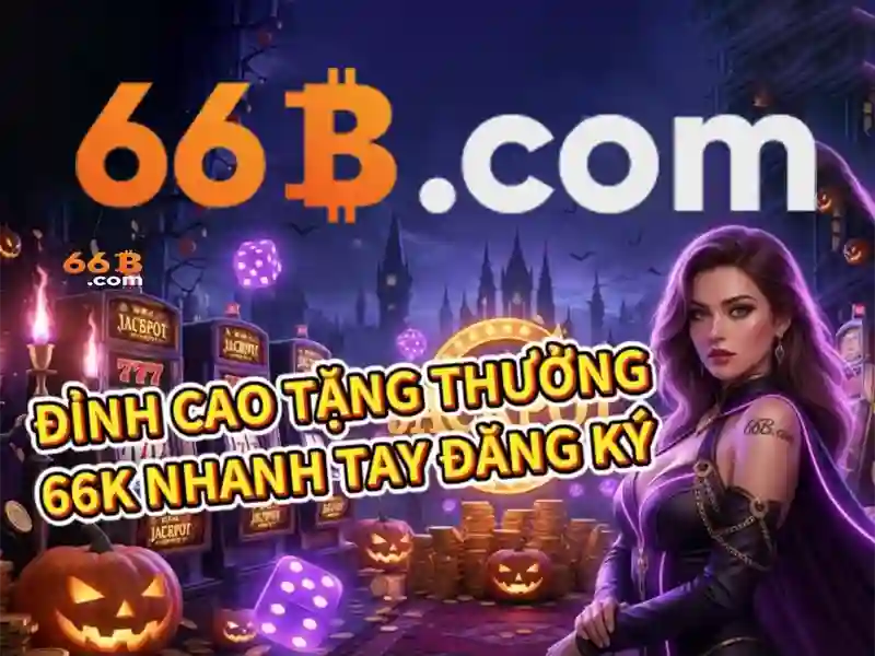 Đặc điểm nổi bật của 66b